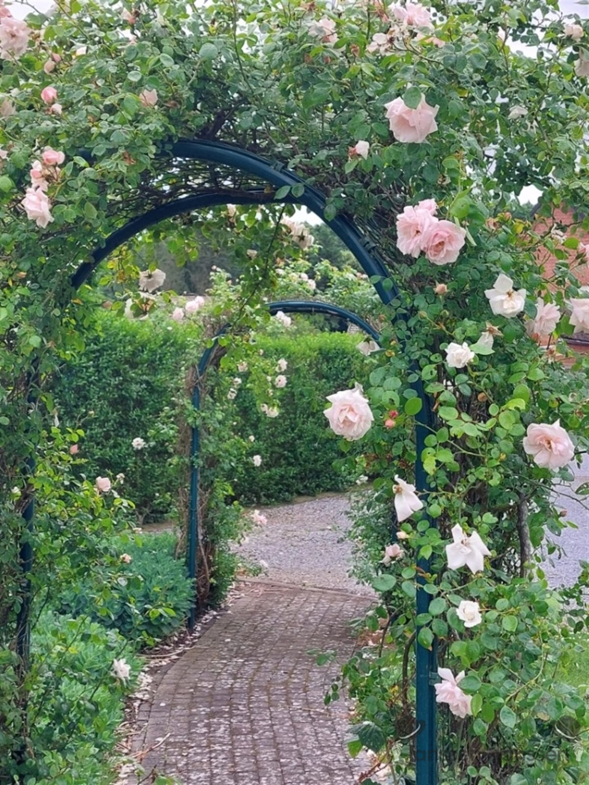 content (20).jpg