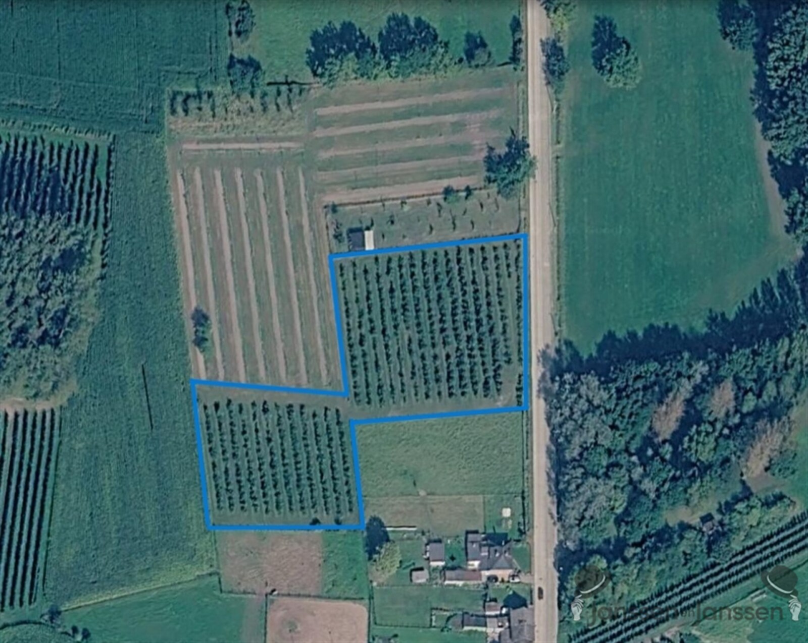 foto google earth.png