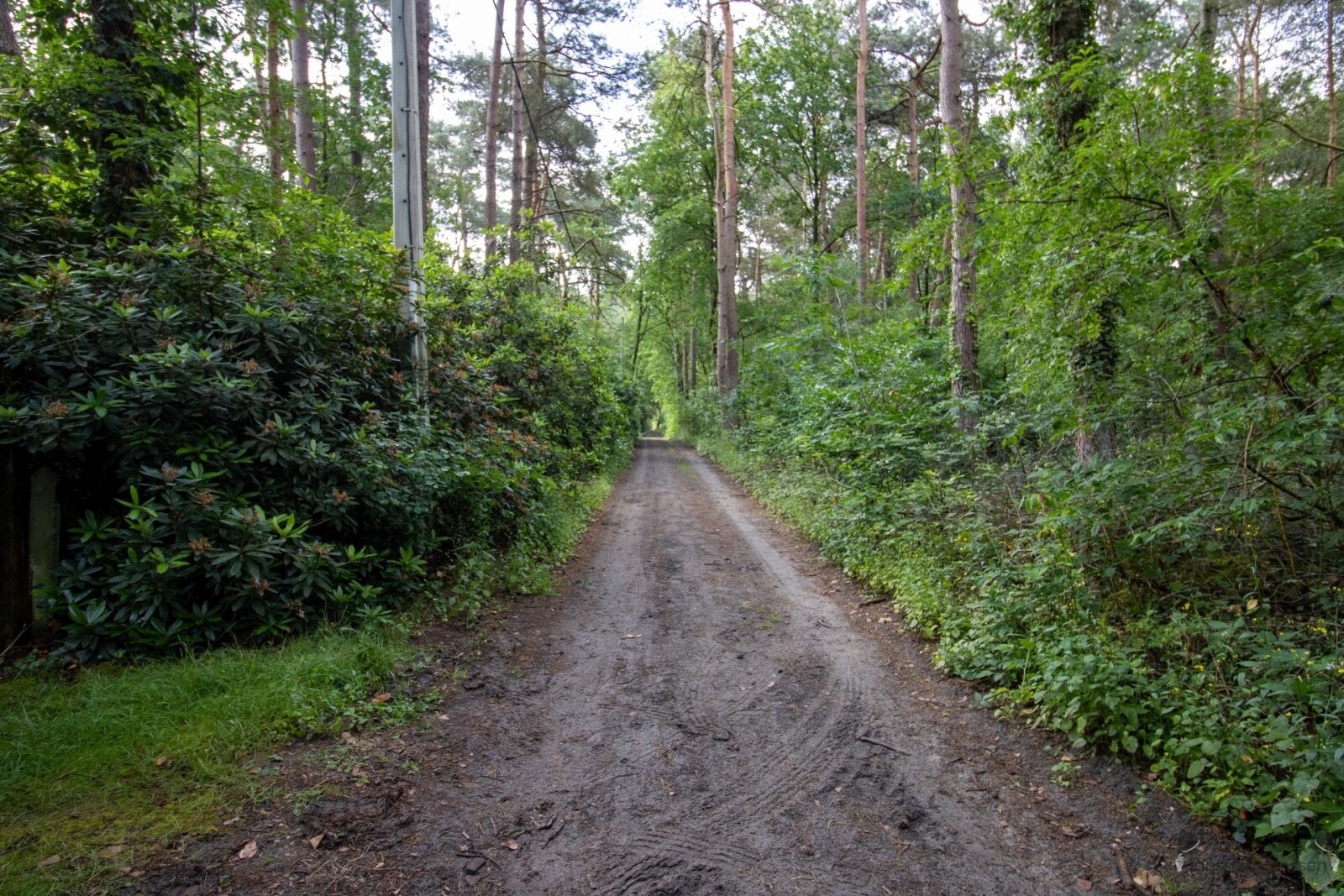 IMG_7183.jpg