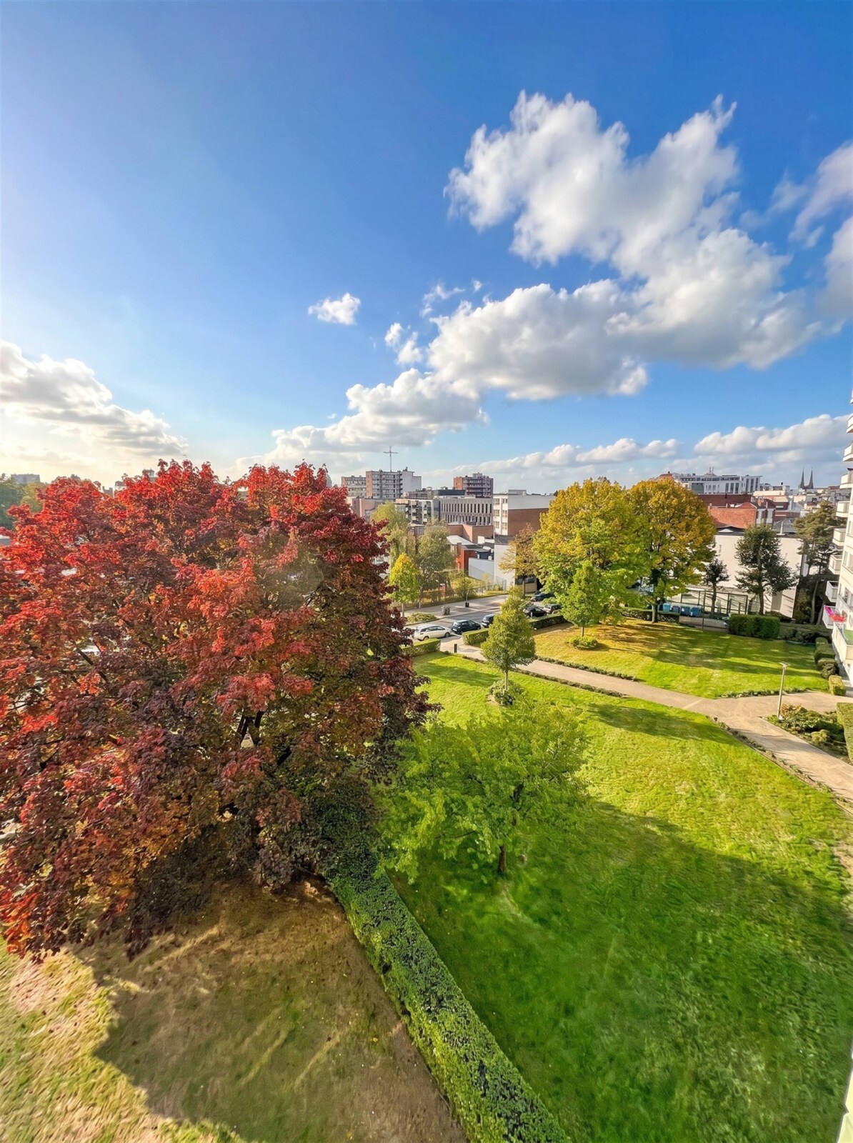 view-of-city-garden