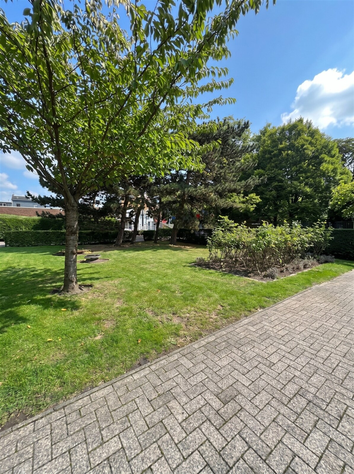 autumnal-park-view