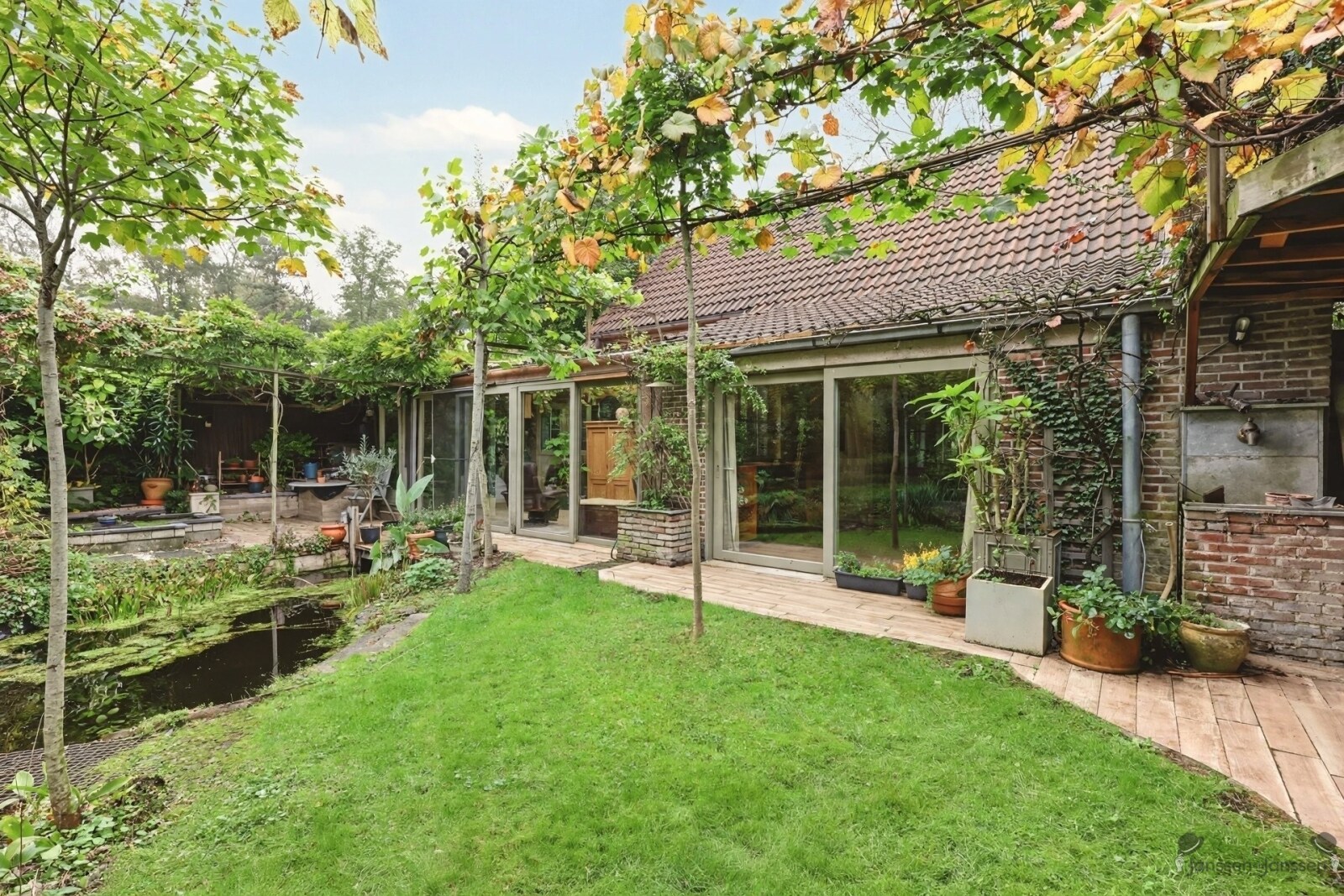 rustic-backyard-garden-with-pond