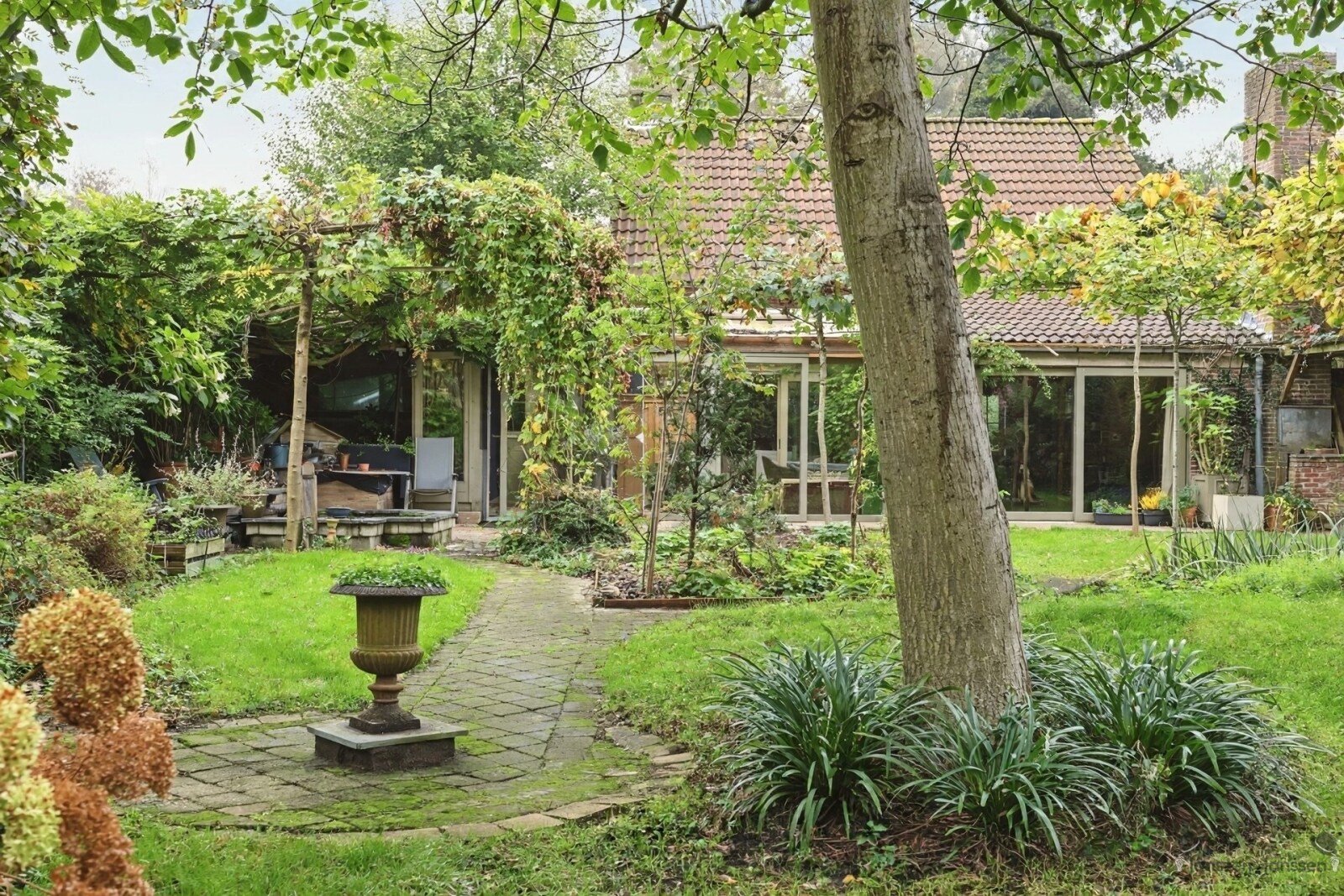 lush-green-backyard-garden