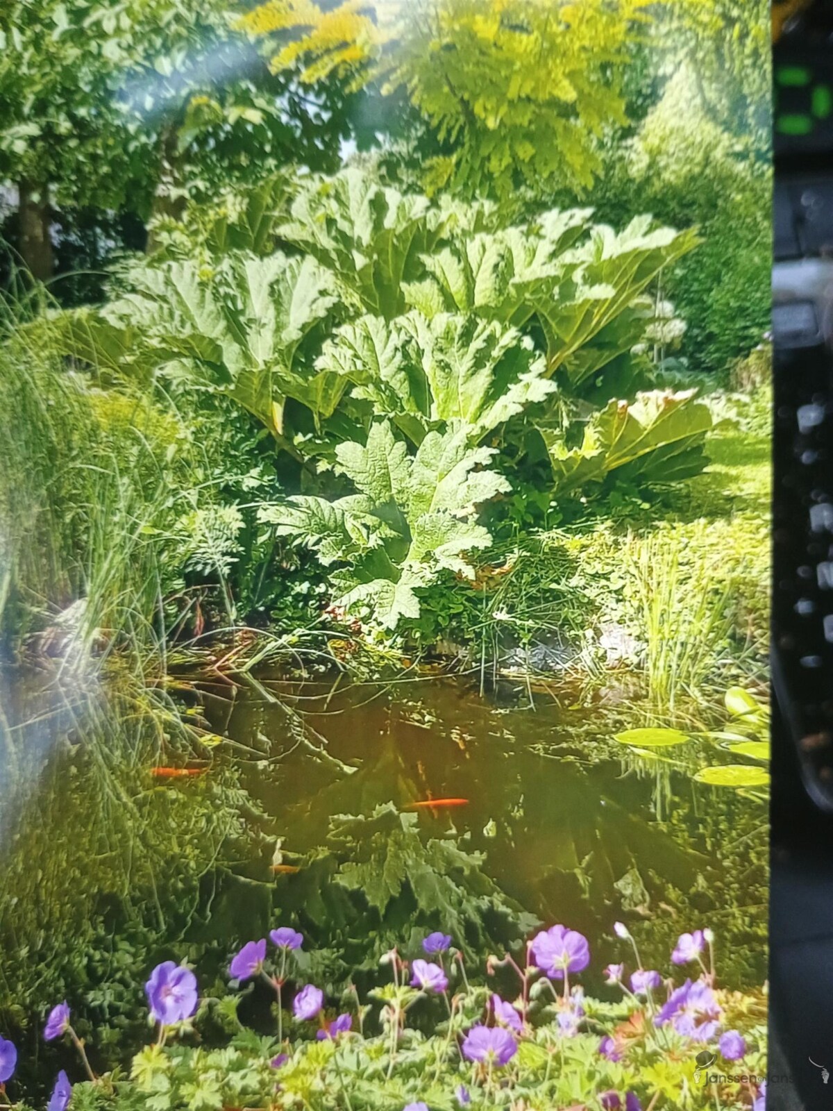 1000000326.jpg