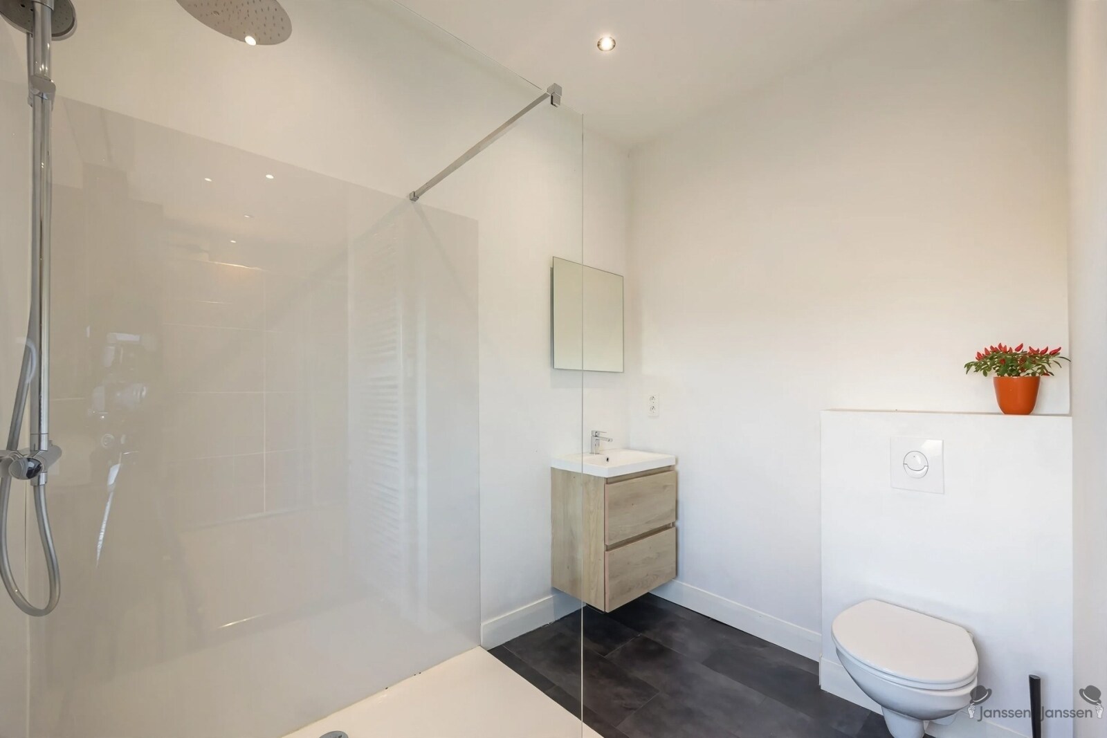 modern-bathroom-with-walk-in-shower