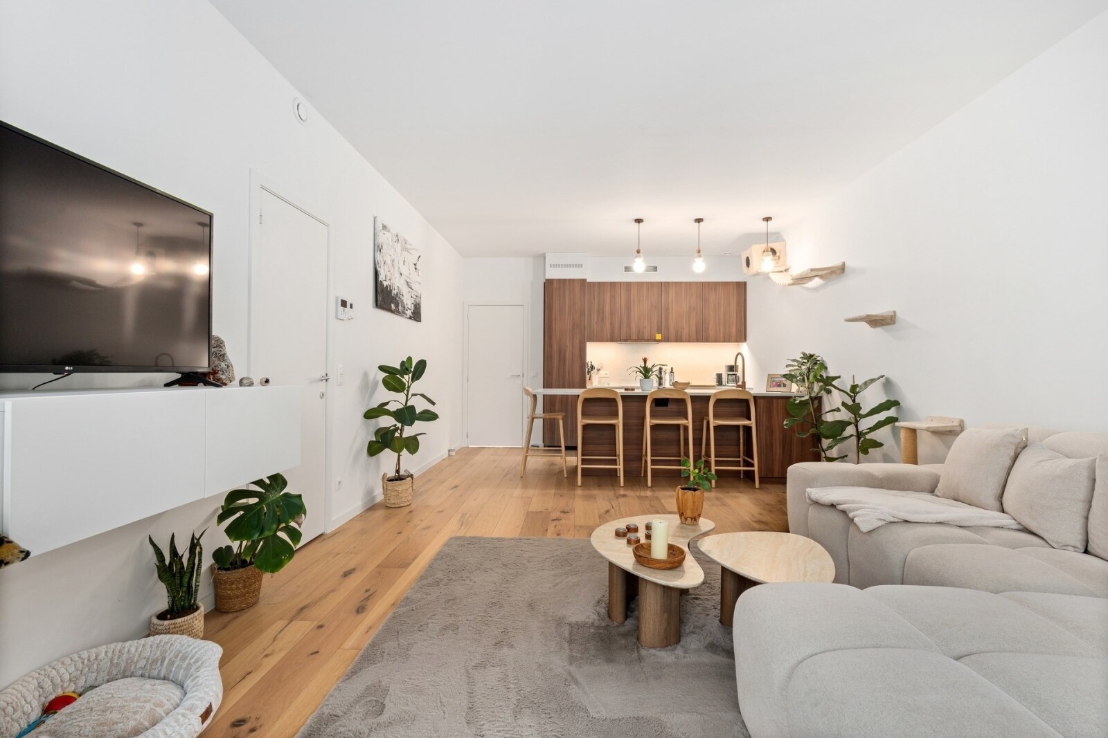 20261014 - KG - Eugene De Plynstraat 21, 2060 Antwerpen - 13.jpg