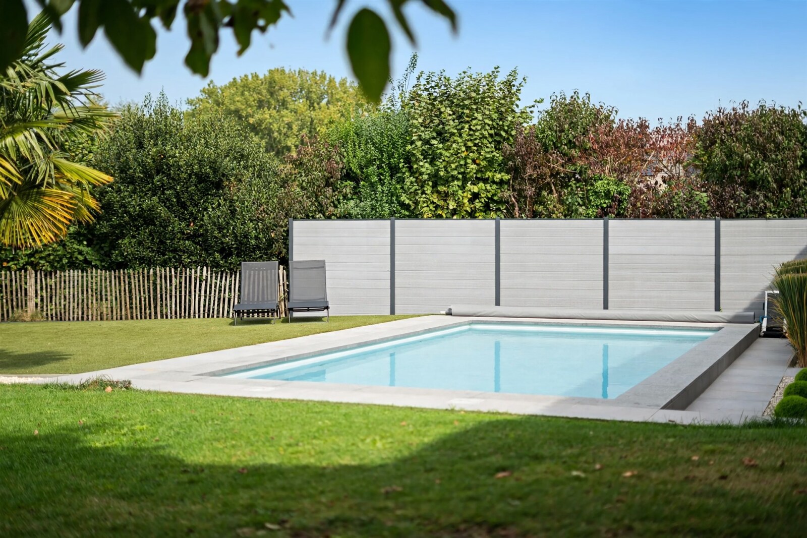 modern-backyard-swimming-pool-garden