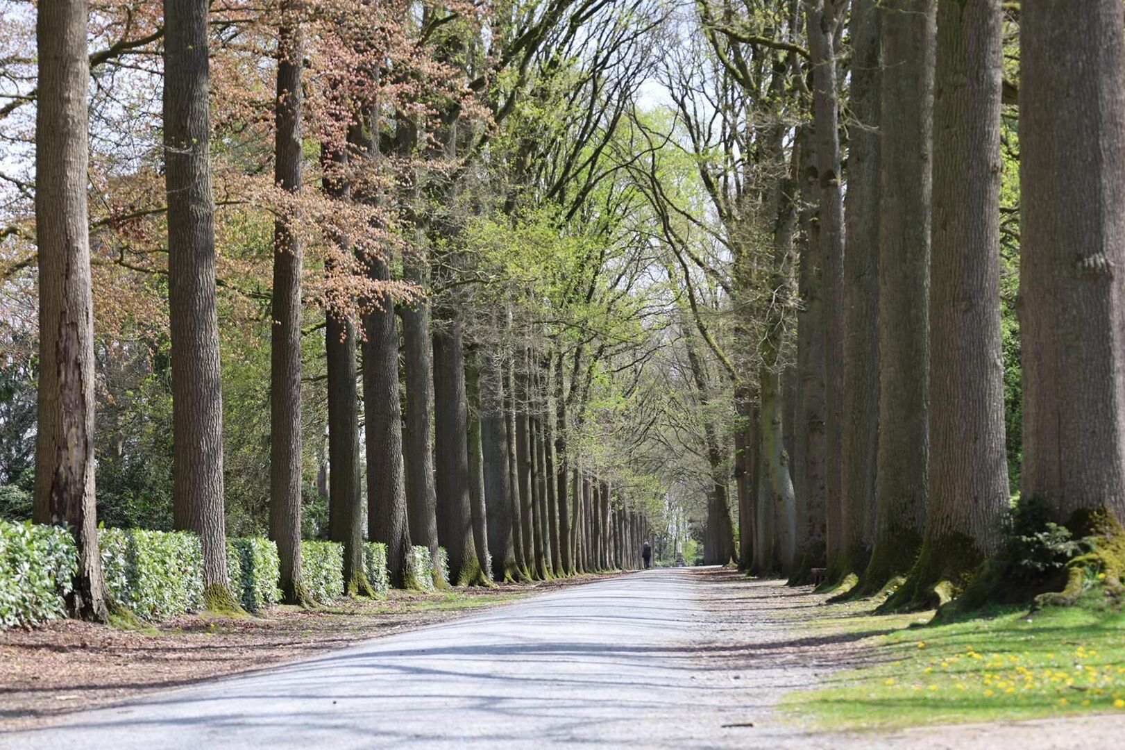 Waarom wonen in Gooreind?