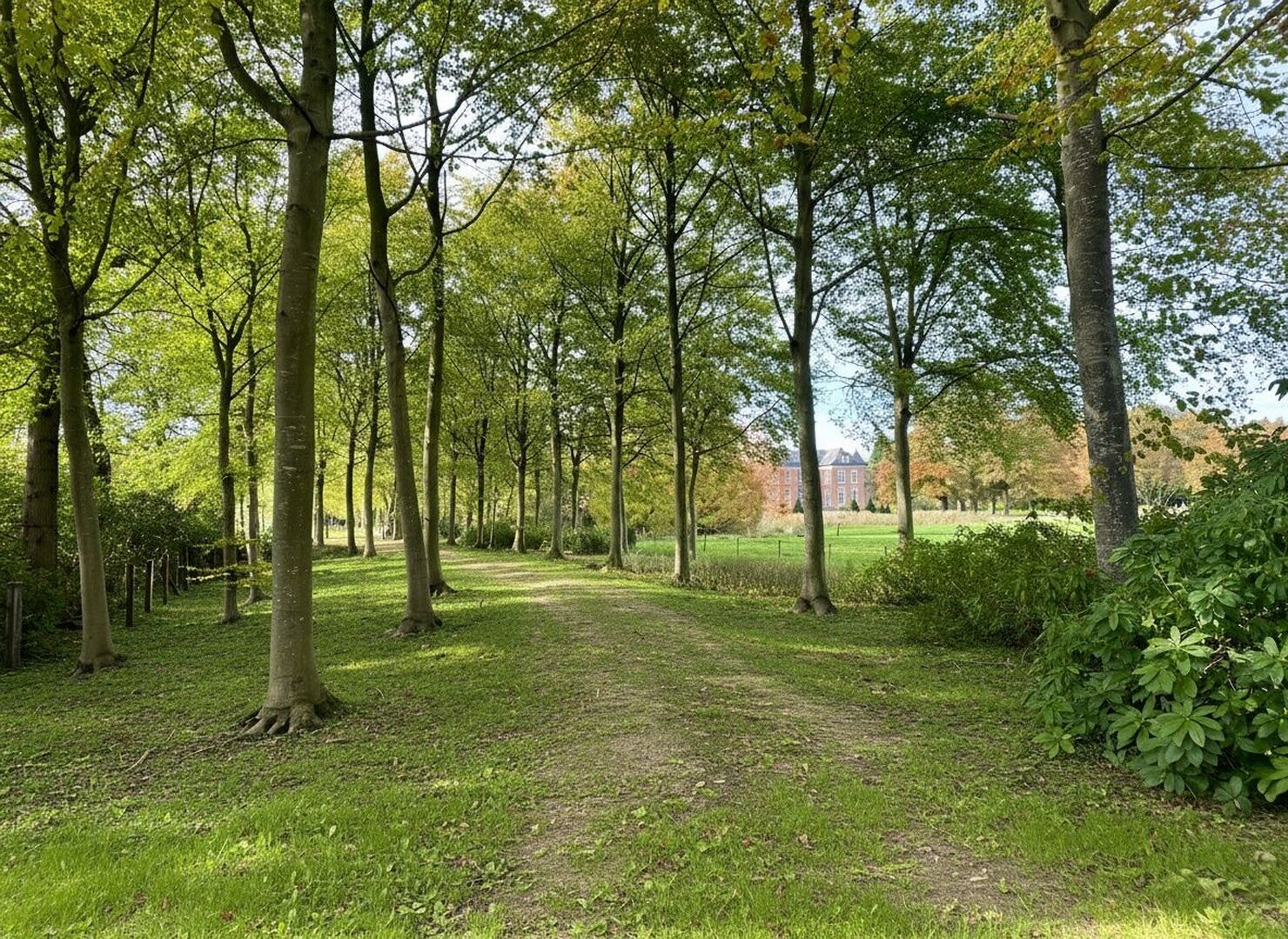 Wat is er te doen in Loenhout?