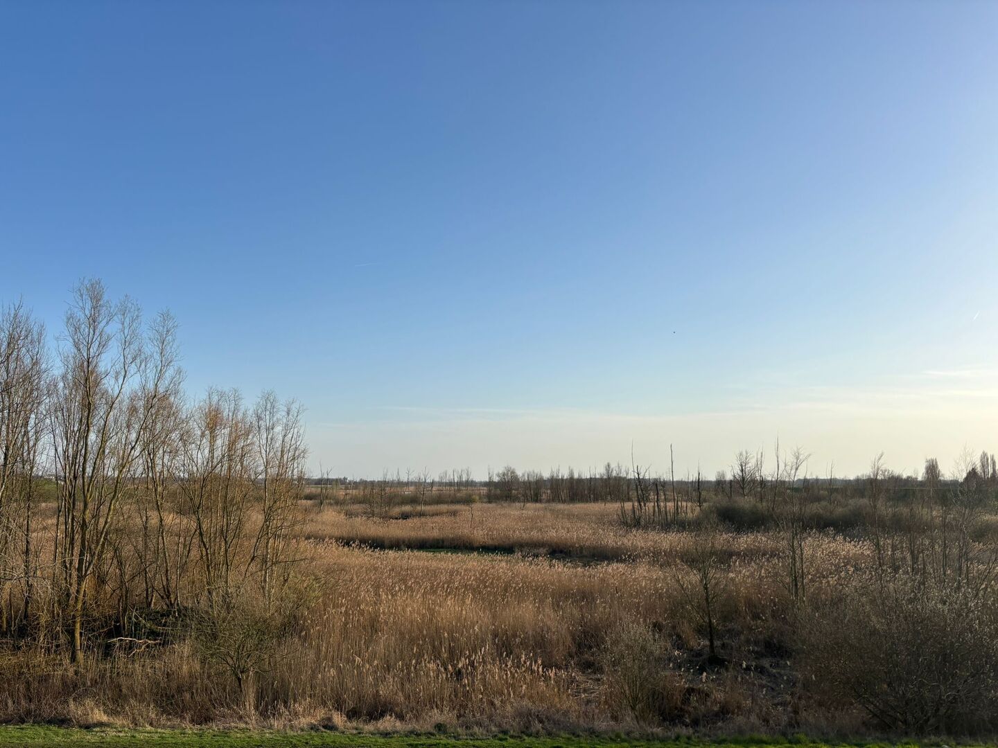 Welke wijken zijn er in Kruibeke?